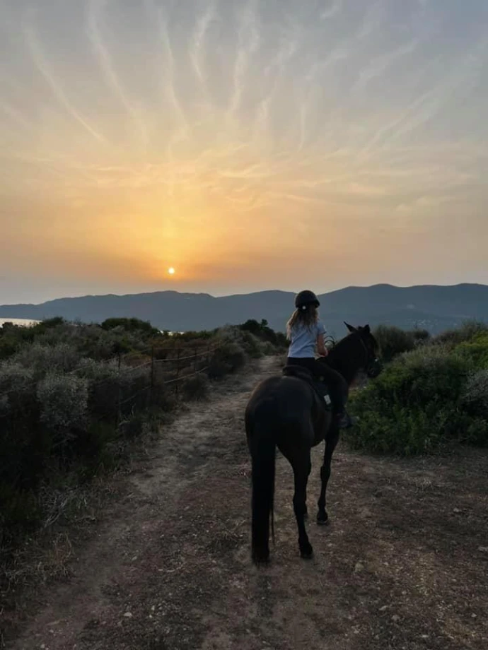 Balae à cheval au coucher de soleil