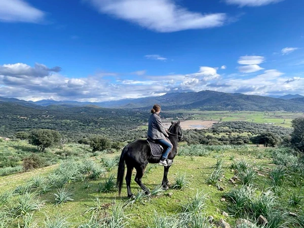 Cheval Corse